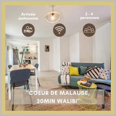 Le Gite 1 - Appartement T2 De 53M2, Ideal Pro Ou Couples, Coeur De Ville Et Proche Golfech Malause Buitenkant foto